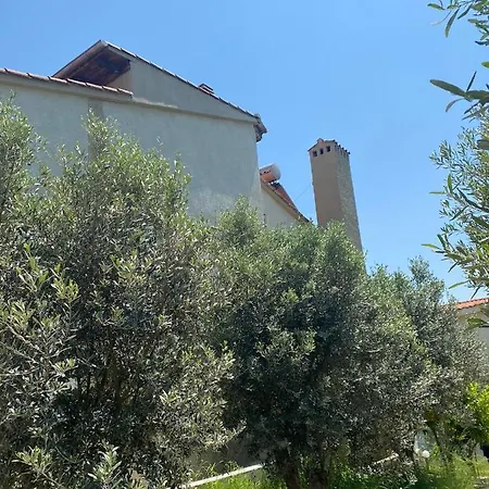 Elia Apartamento PalaiónTsiflíkion