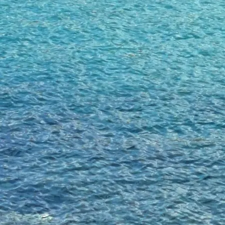 Elia * PalaiónTsiflíkion