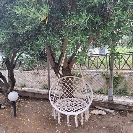 Elia PalaiónTsiflíkion